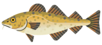 Codfish 2000 logo