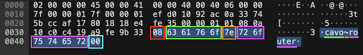 Data relative to the second segment